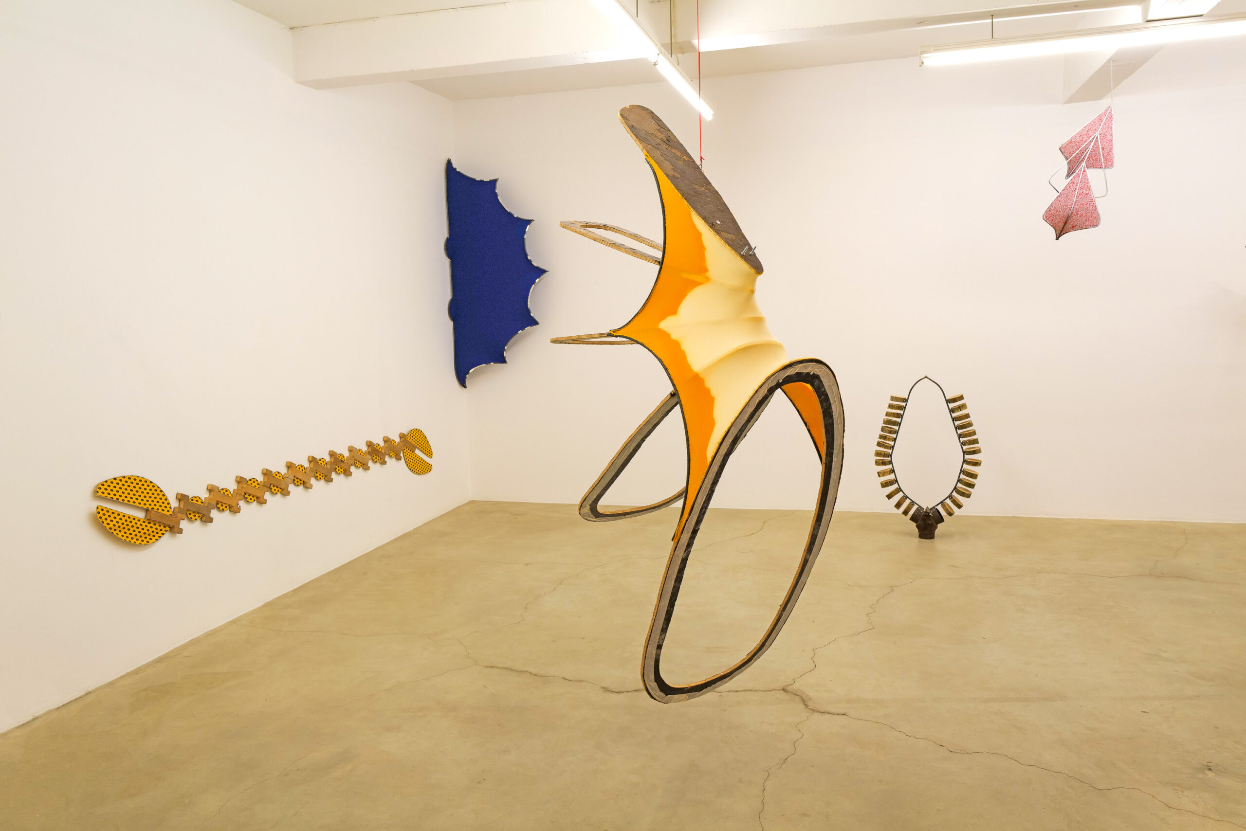 Fran Van Coppenolle Transit