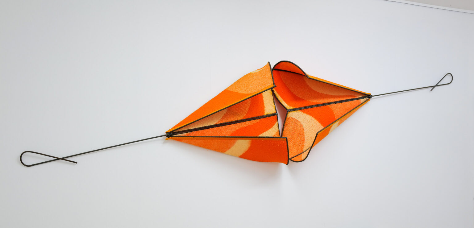 Fran Van Coppenolle Transit